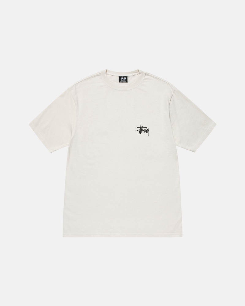 Magliette Stussy Basic Pigment Dyed Beige | 94507-QBKD